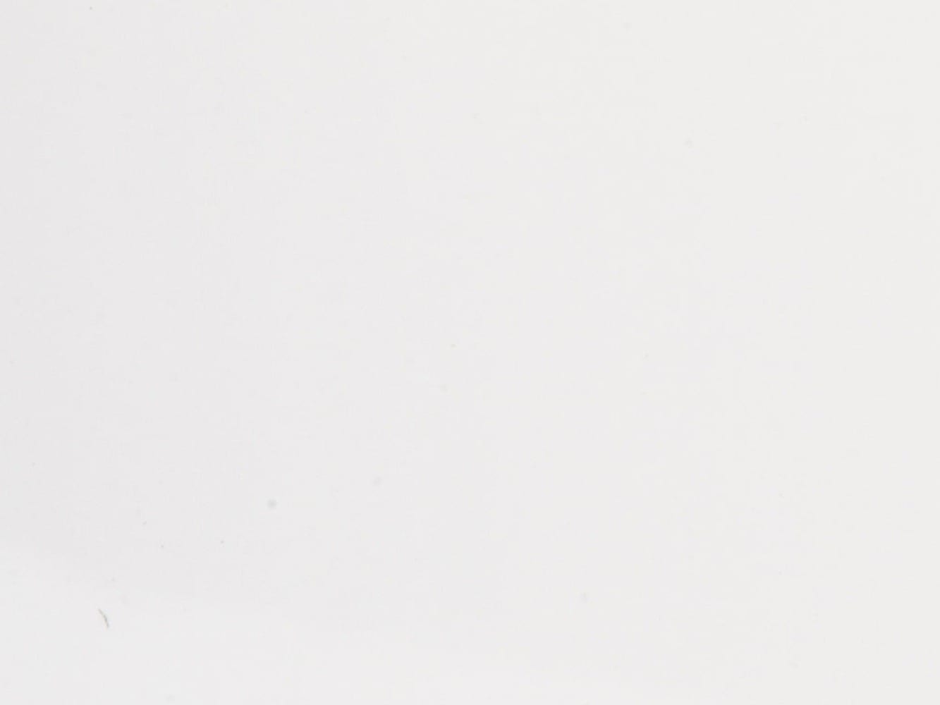 Gloss White shower panel